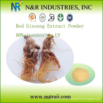 Red Ginseng Extract Powder 80% ginsenoside UV